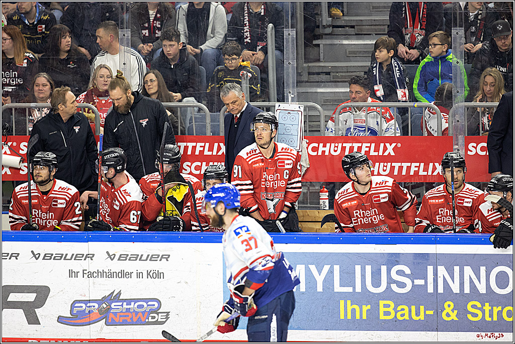 PENNY DEL - Viertelfinale;  Koelner Haie - Adler Mannheim; Koeln, 17.03.2023